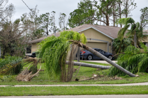 Help With Insurance Claims from Hurricane Nicole